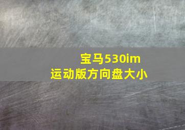 宝马530im运动版方向盘大小