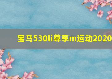 宝马530li尊享m运动2020