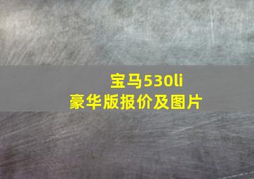 宝马530li豪华版报价及图片