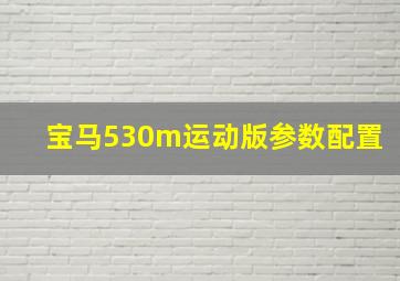 宝马530m运动版参数配置