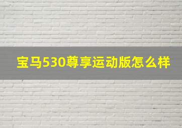 宝马530尊享运动版怎么样