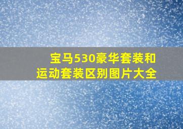 宝马530豪华套装和运动套装区别图片大全