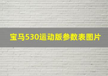 宝马530运动版参数表图片