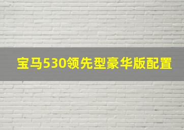 宝马530领先型豪华版配置