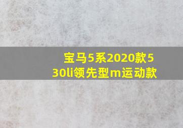 宝马5系2020款530li领先型m运动款