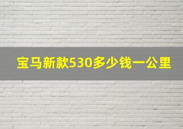 宝马新款530多少钱一公里