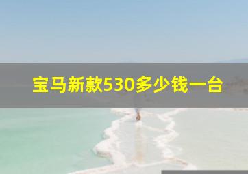 宝马新款530多少钱一台