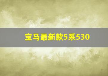 宝马最新款5系530