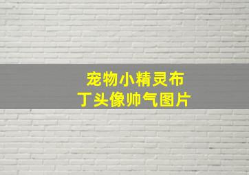 宠物小精灵布丁头像帅气图片