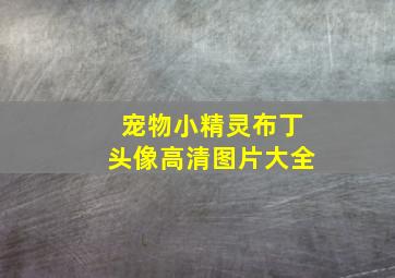 宠物小精灵布丁头像高清图片大全