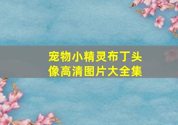 宠物小精灵布丁头像高清图片大全集