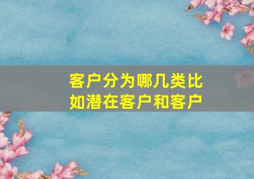 客户分为哪几类比如潜在客户和客户