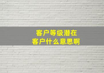 客户等级潜在客户什么意思啊