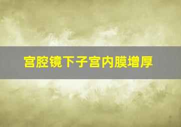 宫腔镜下子宫内膜增厚