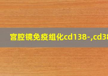 宫腔镜免疫组化cd138-,cd38-