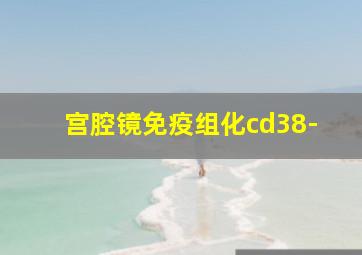 宫腔镜免疫组化cd38-