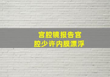 宫腔镜报告宫腔少许内膜漂浮