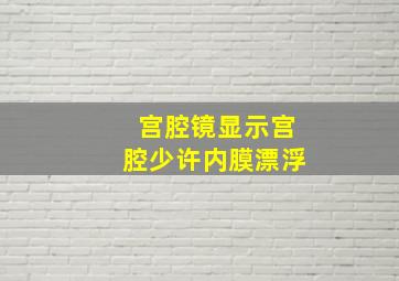 宫腔镜显示宫腔少许内膜漂浮