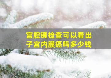 宫腔镜检查可以看出子宫内膜癌吗多少钱