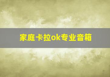 家庭卡拉ok专业音箱