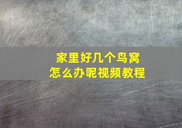 家里好几个鸟窝怎么办呢视频教程