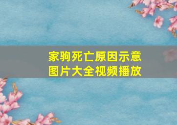 家驹死亡原因示意图片大全视频播放