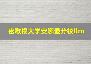 密歇根大学安娜堡分校llm