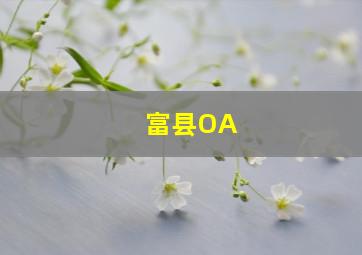 富县OA