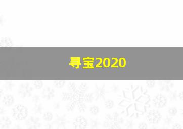 寻宝2020