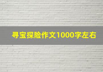 寻宝探险作文1000字左右