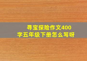 寻宝探险作文400字五年级下册怎么写呀