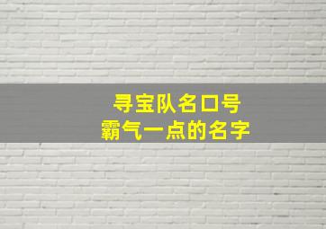 寻宝队名口号霸气一点的名字