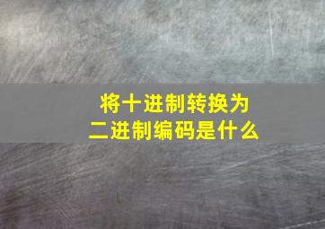 将十进制转换为二进制编码是什么