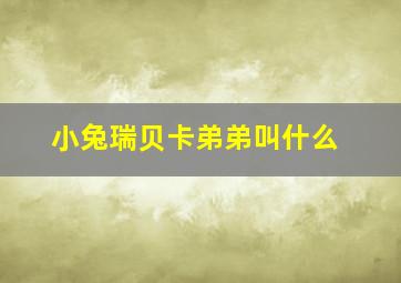 小兔瑞贝卡弟弟叫什么