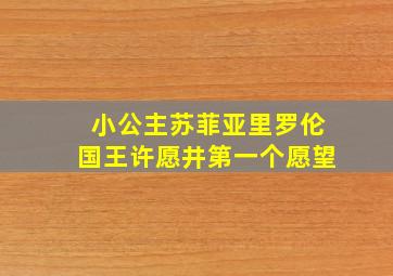 小公主苏菲亚里罗伦国王许愿井第一个愿望