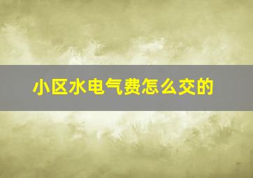 小区水电气费怎么交的