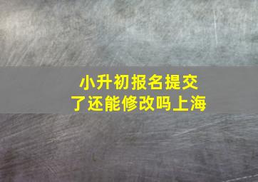 小升初报名提交了还能修改吗上海