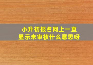 小升初报名网上一直显示未审核什么意思呀