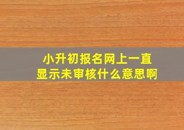 小升初报名网上一直显示未审核什么意思啊