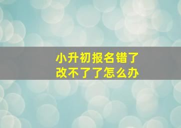 小升初报名错了改不了了怎么办