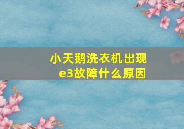 小天鹅洗衣机出现e3故障什么原因