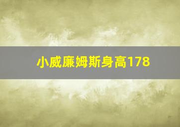 小威廉姆斯身高178