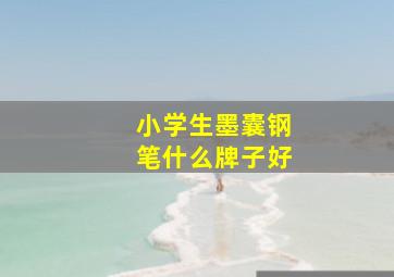 小学生墨囊钢笔什么牌子好