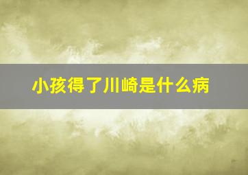 小孩得了川崎是什么病