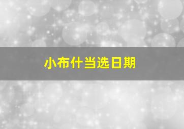 小布什当选日期