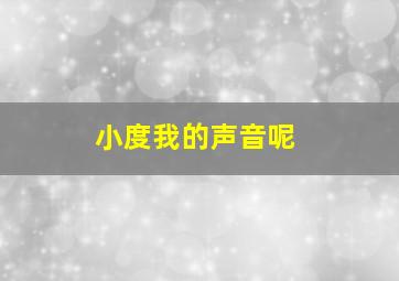 小度我的声音呢