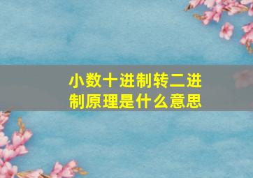 小数十进制转二进制原理是什么意思