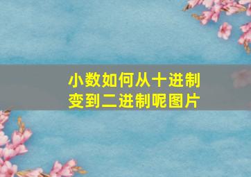 小数如何从十进制变到二进制呢图片