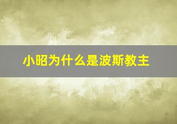 小昭为什么是波斯教主