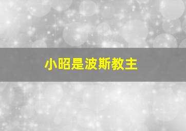 小昭是波斯教主